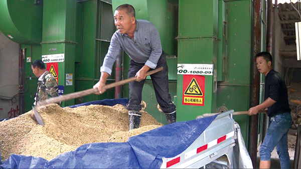 微網格長出手，破解“曬糧難”助力糧食加工